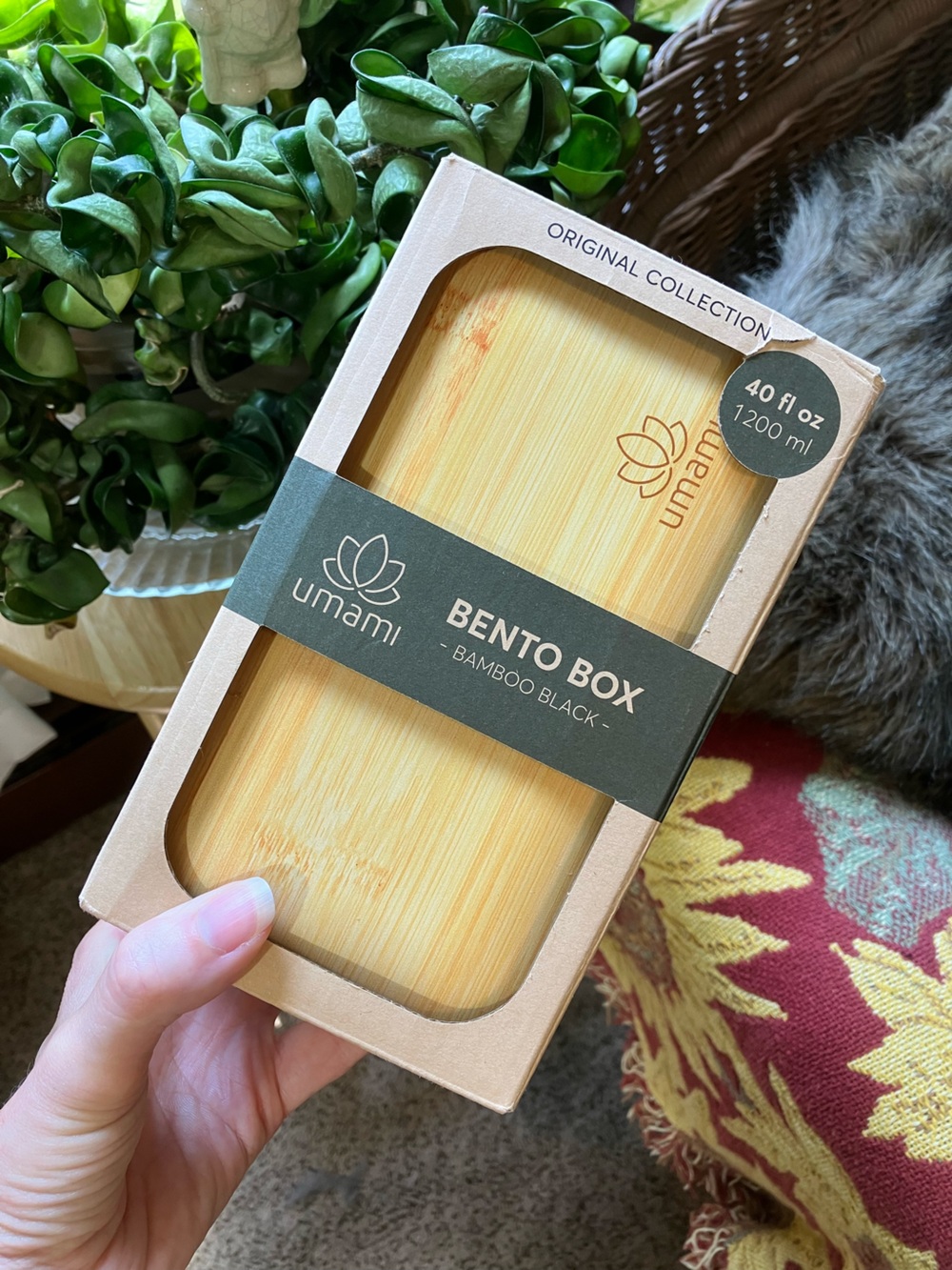 All-in-One Umami Bento Box Lunch Container with Bamboo Lid - 40oz